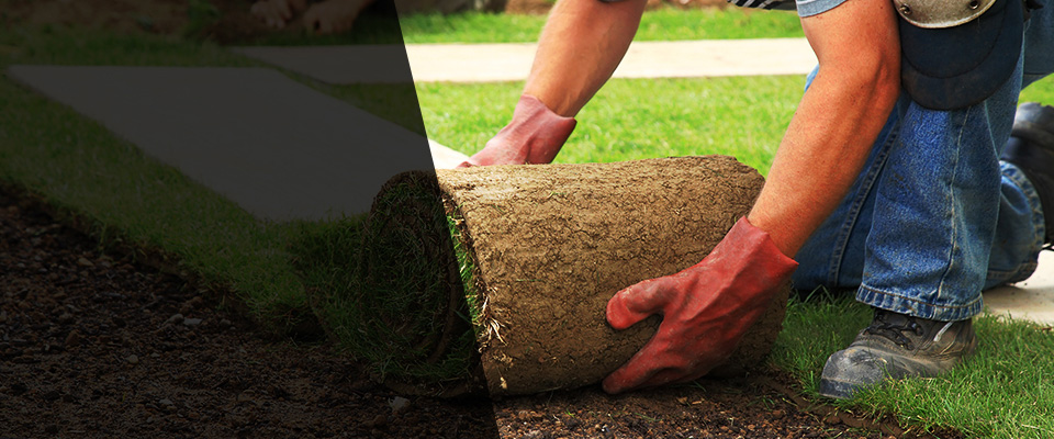 Newton Center Landscapers